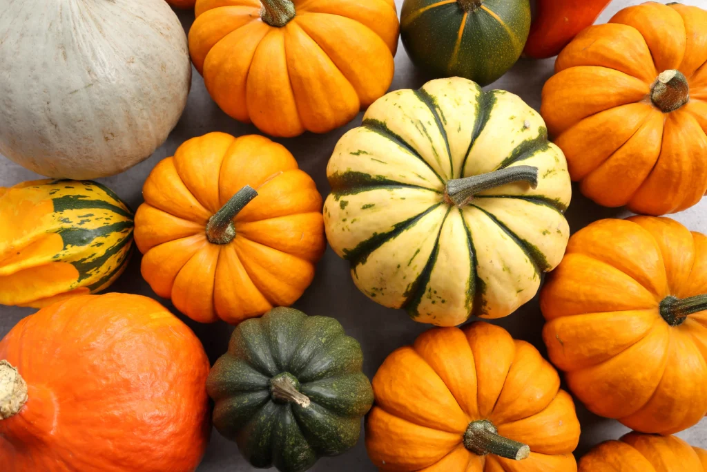 Courges et citrouilles